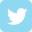 social-icono-twitter